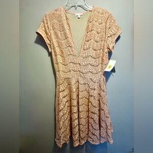 GB Blush Lace Dress